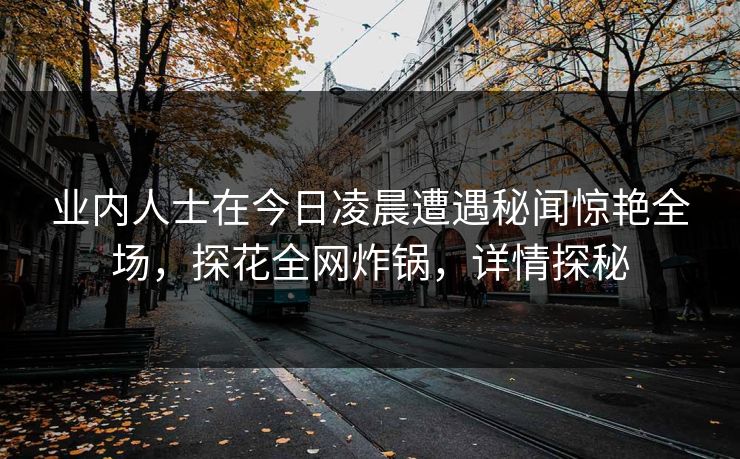 业内人士在今日凌晨遭遇秘闻惊艳全场，探花全网炸锅，详情探秘